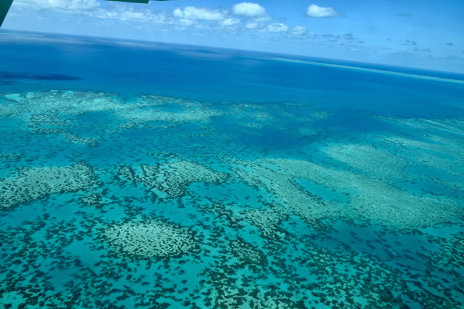 The Great Barrier Reef, Cairns, Queensland (Ank Kumar) 01