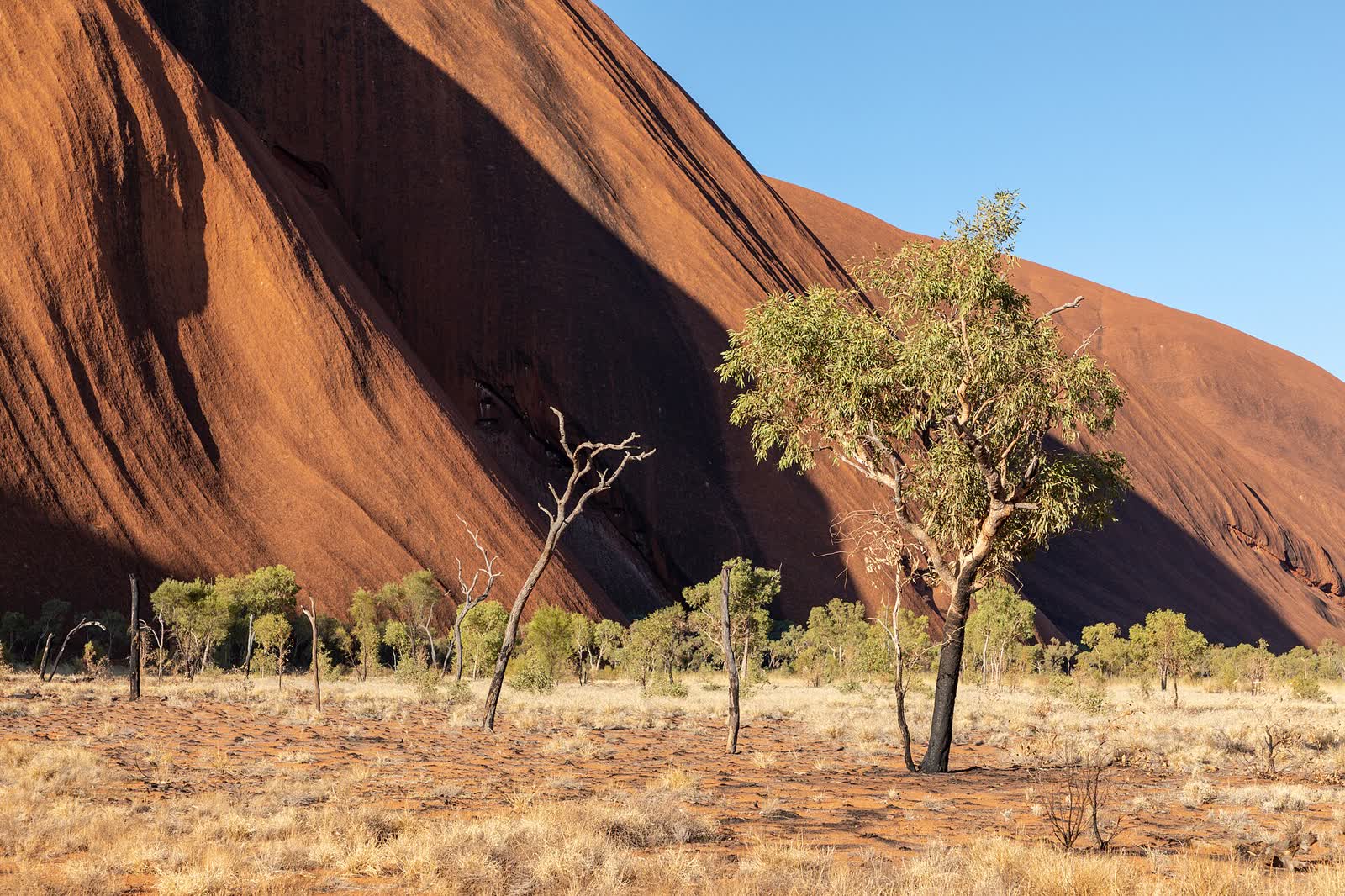 Petermann Ranges (AU), Uluru-Kata Tjuta National Park, Uluru, Kuniya Walk -- 2019 -- 3674