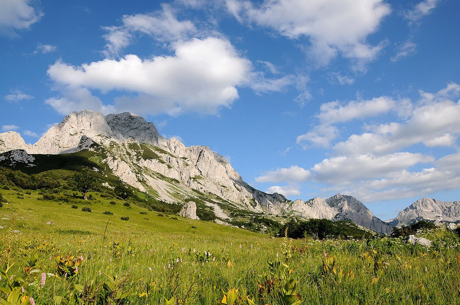 Np sutjeska maglic