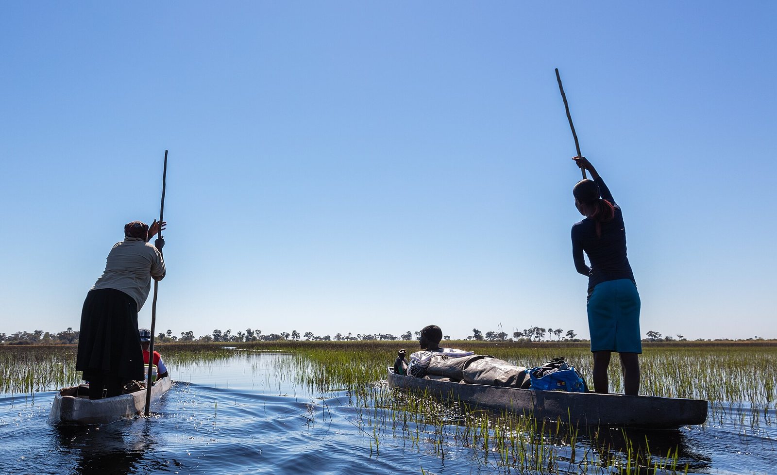 Travesía del delta del Okavango en makoro, Botsuana, 2018-07-31, DD 08