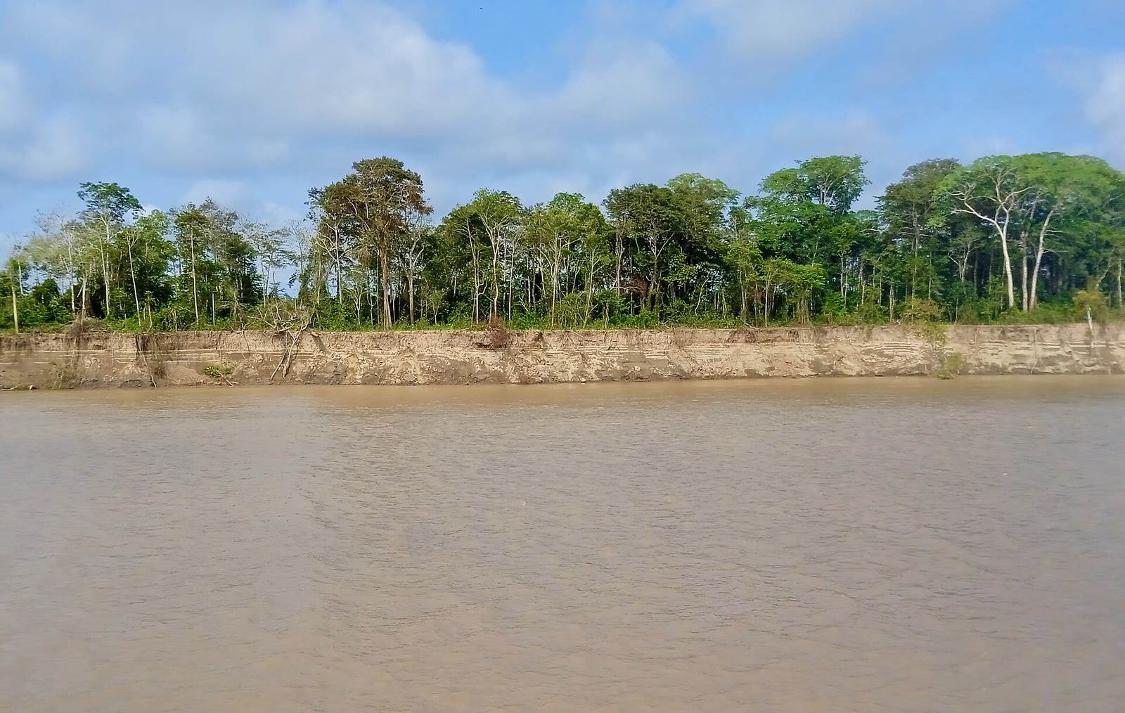 Tabatinga a Manaus 39