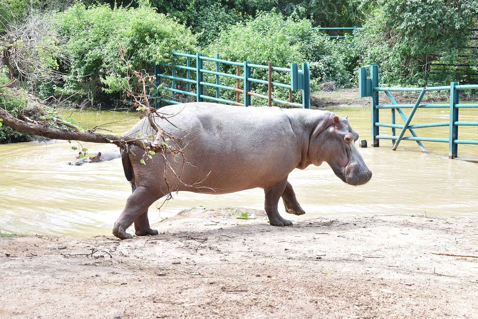 TR Parc animalier de Ziniaré 06