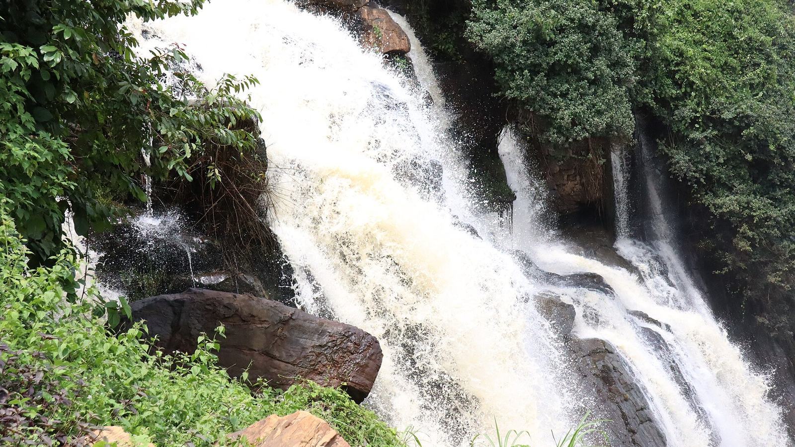 Chute boali