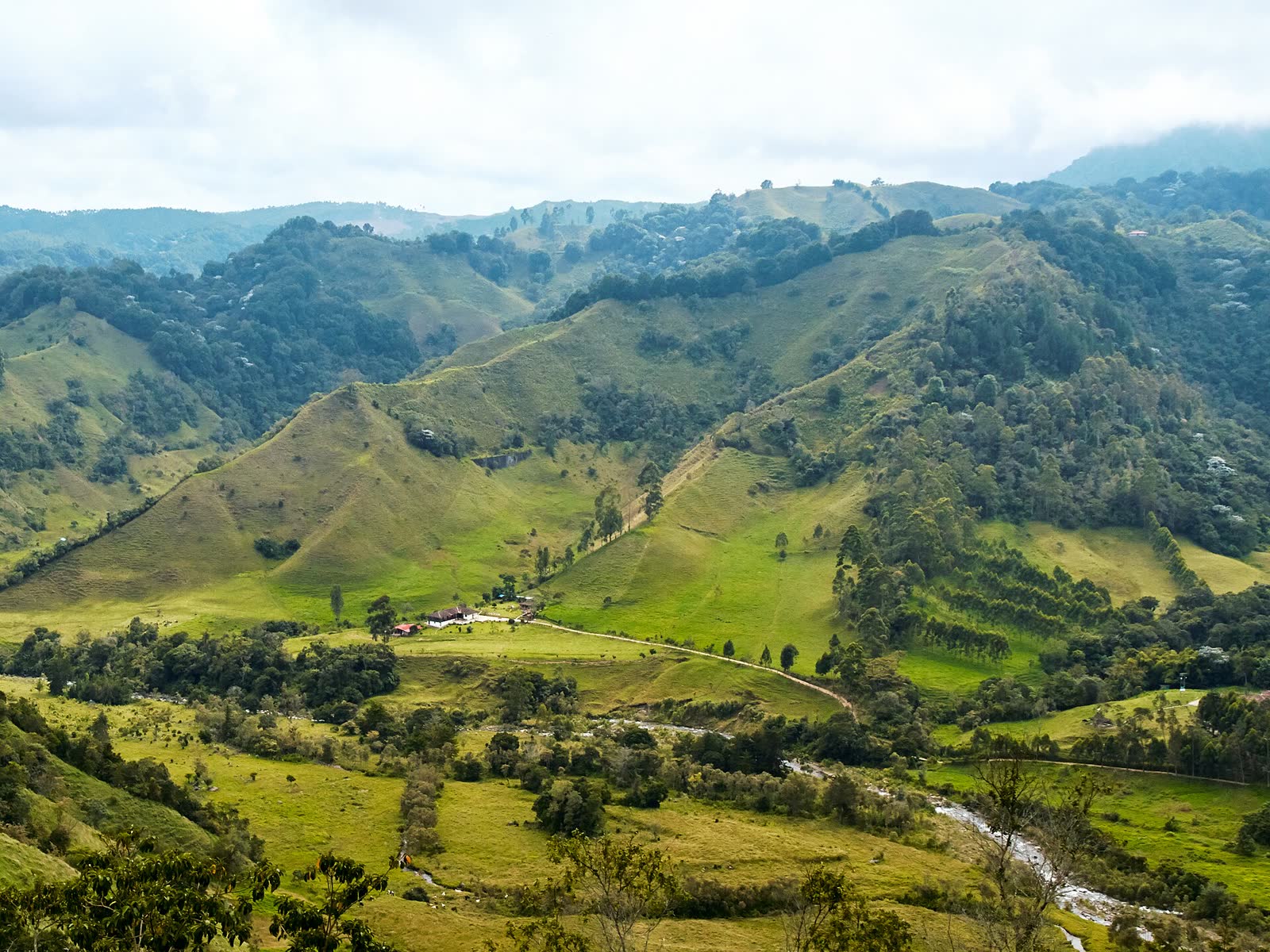Colombia Landscape Near Salento (40291533535)