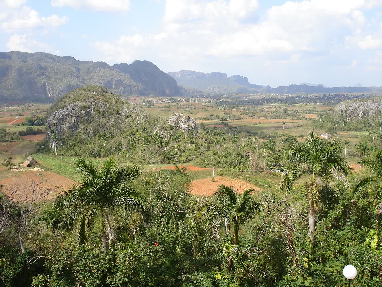 CUBA. VINALES (8)