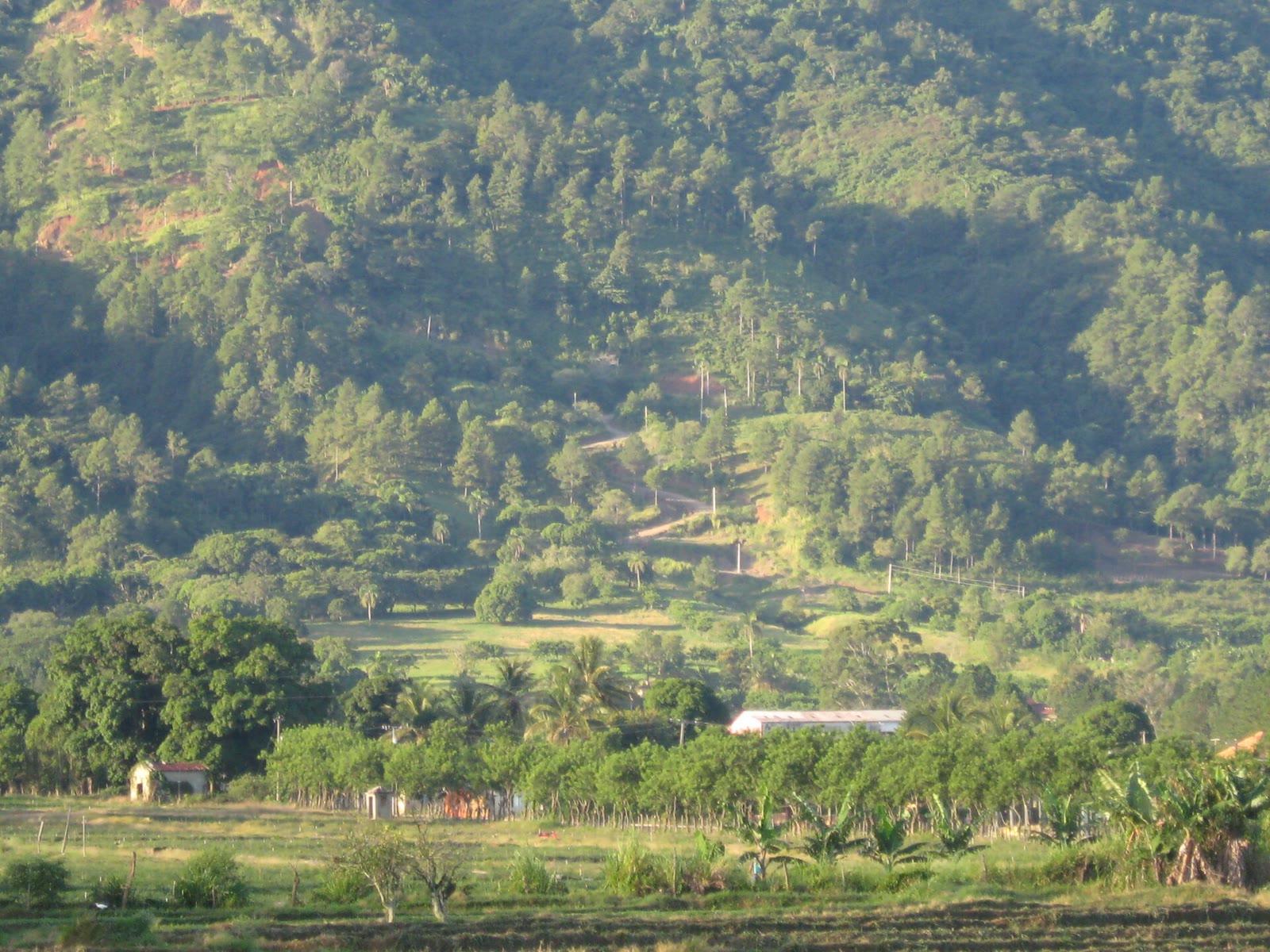 Closeup of the slopes, looking southwest, September 2009 - panoramio