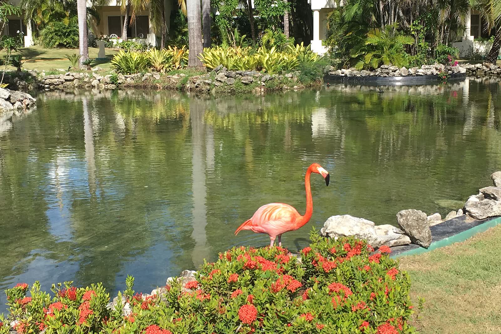 RD Punta Cana 12 2017 6547