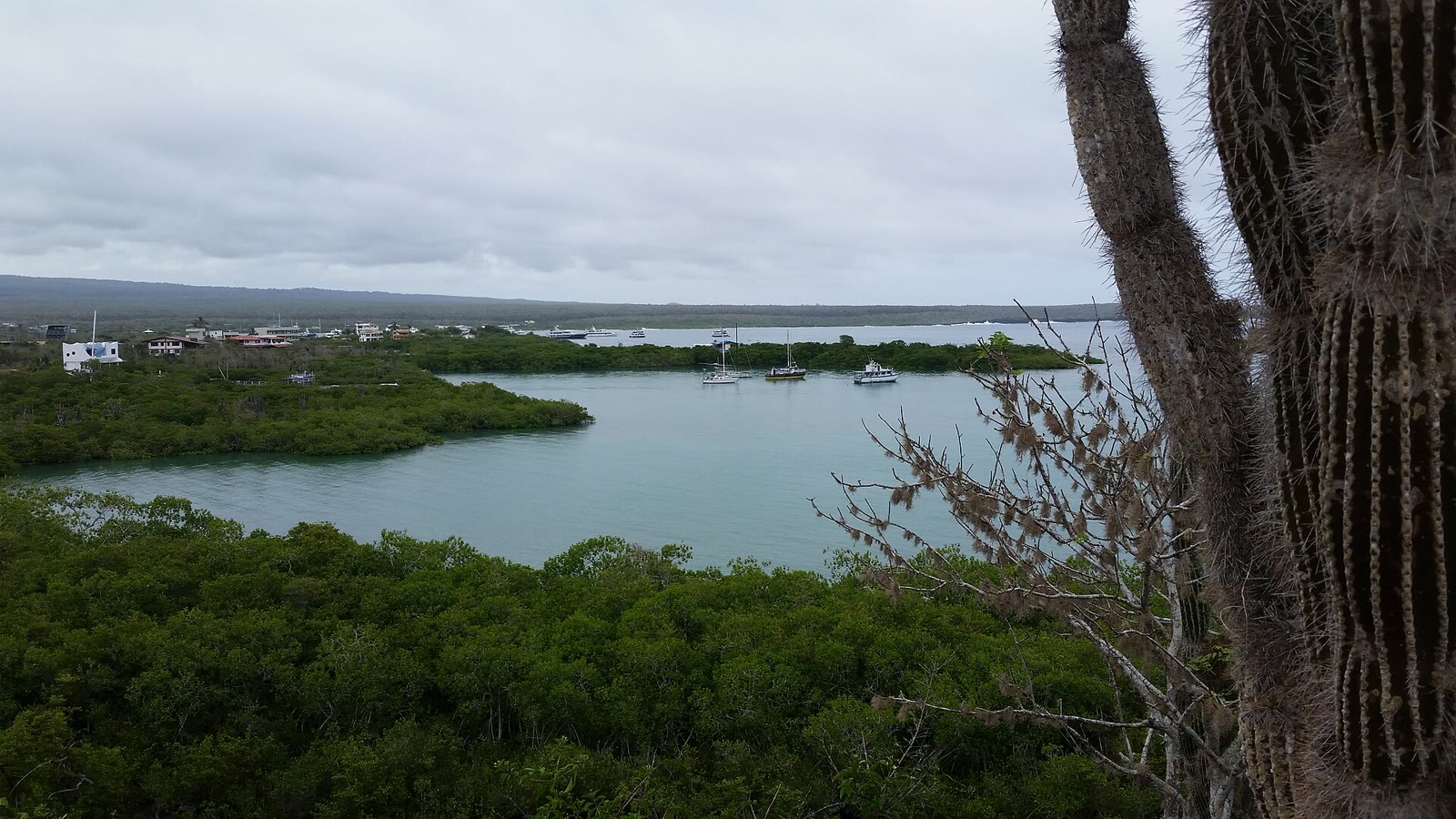 Academy Bay, Isla Santa Cruz, Galapagos Islands