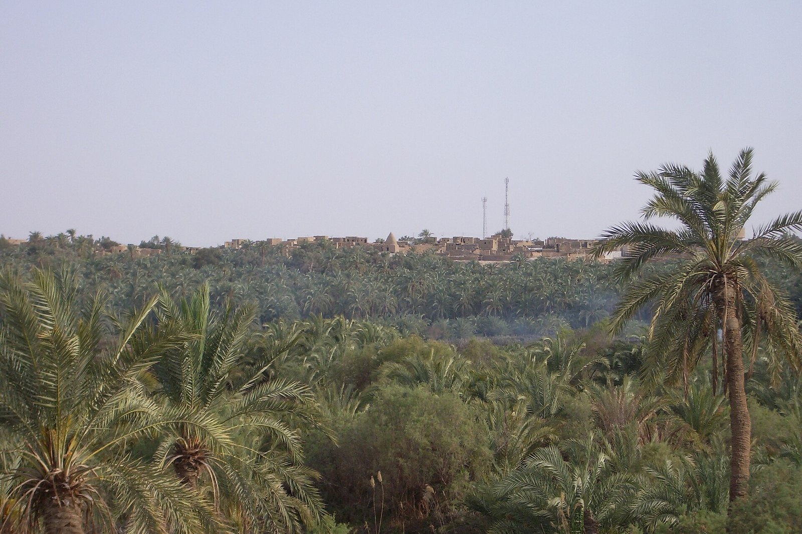 Bahariya Village through the Forest