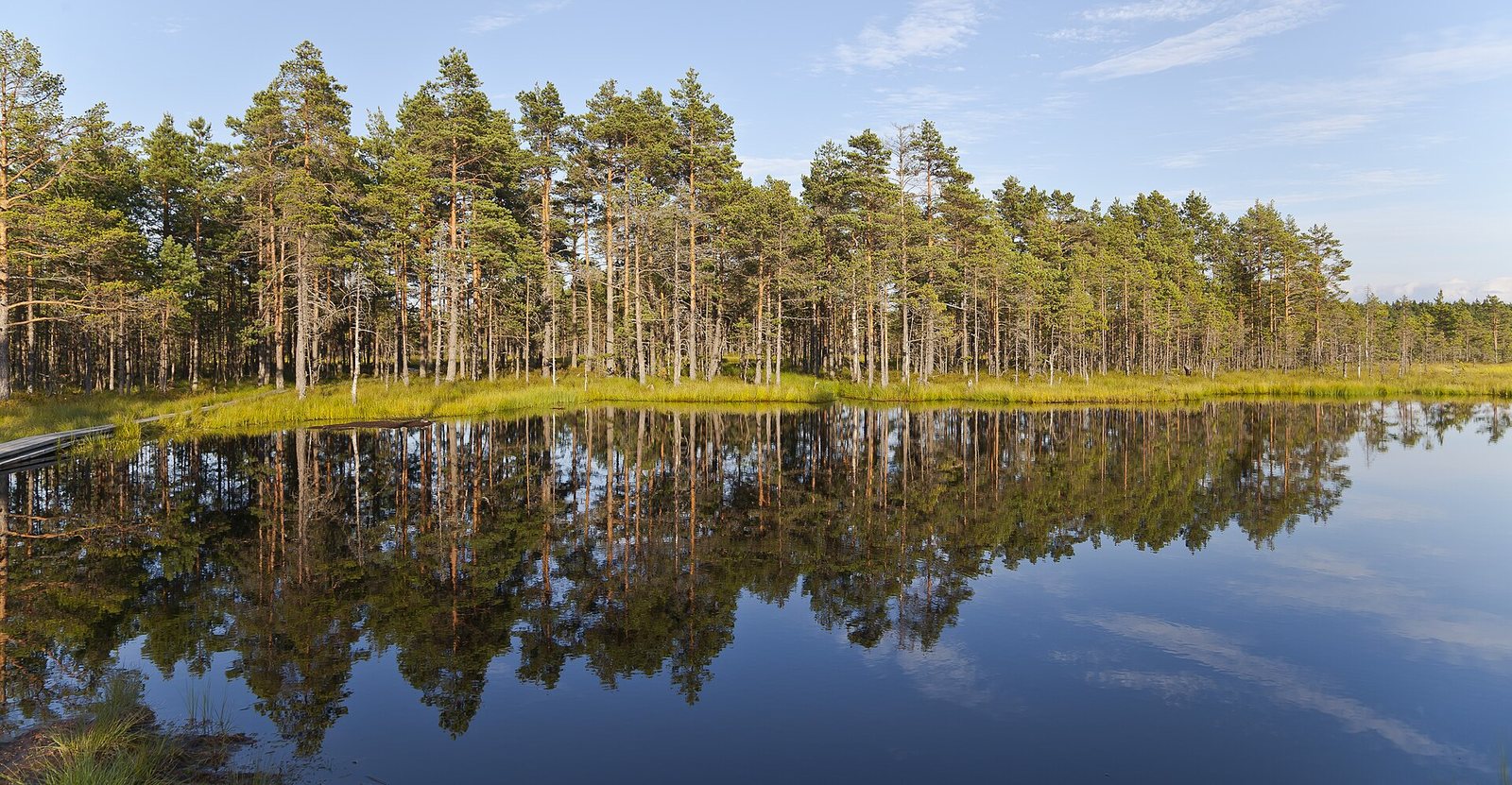 Viru Bog, Parque Nacional Lahemaa, Estonia, 2012-08-12, DD 60