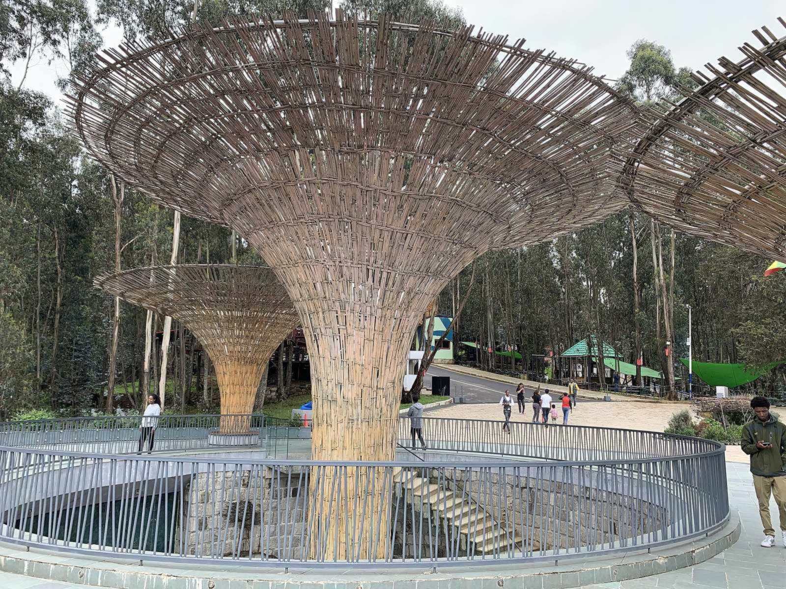 Entoto Park, September 2022