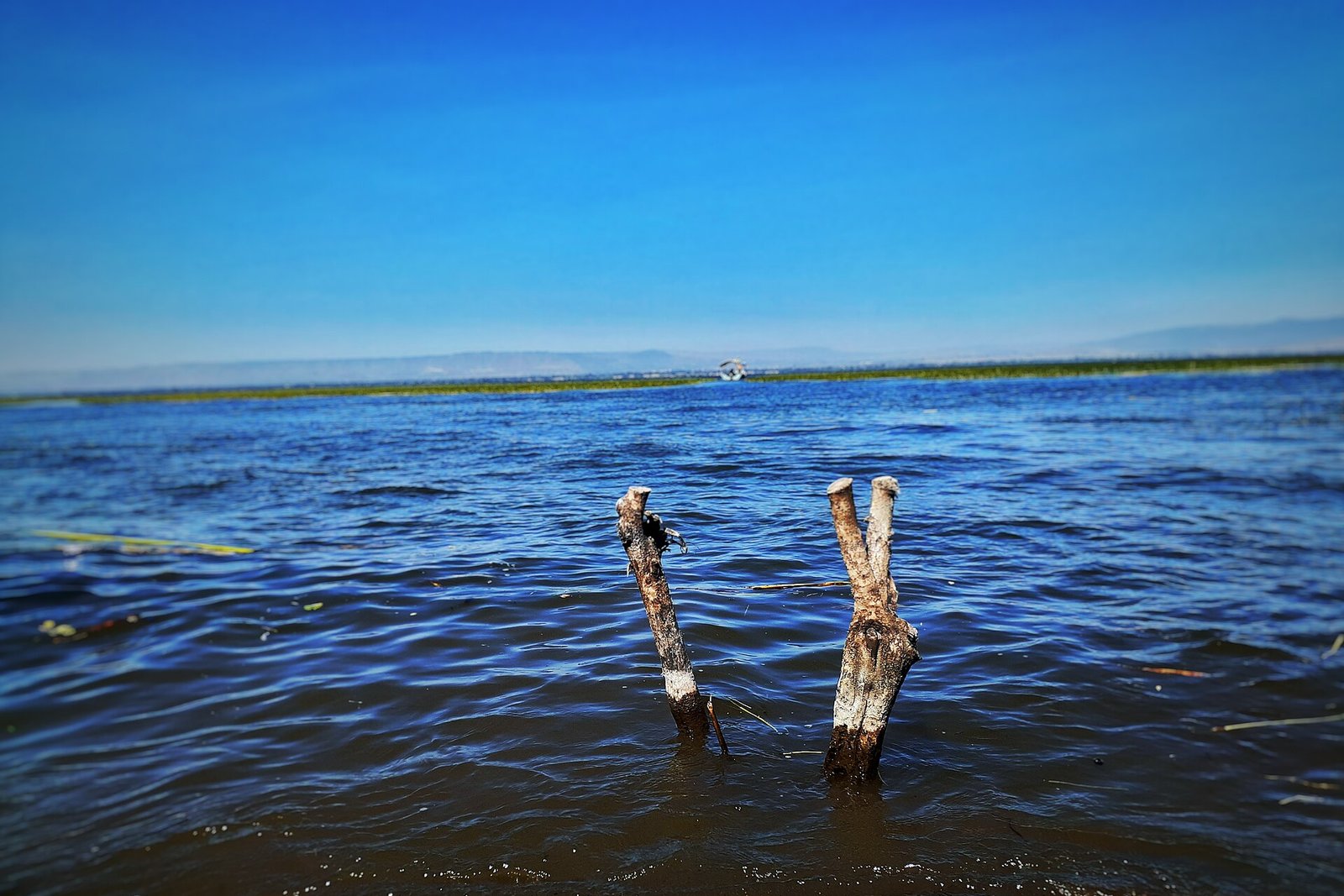 Hawassa lake, Ethiopia