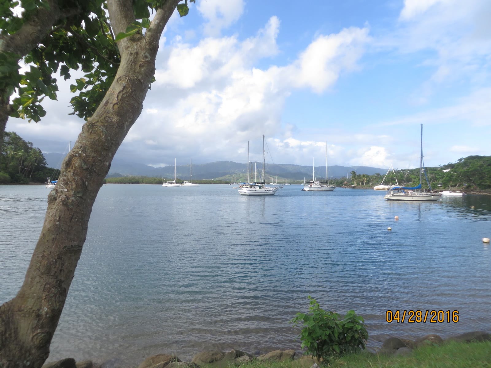 Savusavu, Fiji - panoramio