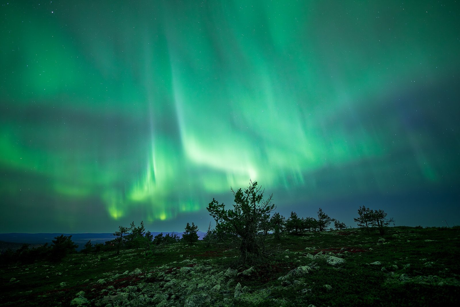 Gentle but wide green aurora display over Levi, Kittilä, Lapland, Finland, 2023 September - 2