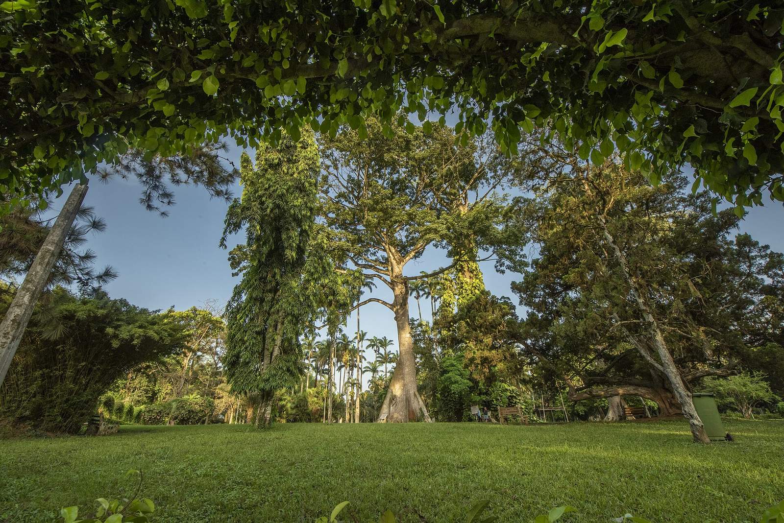 Aburi Botanical Gardens & Park