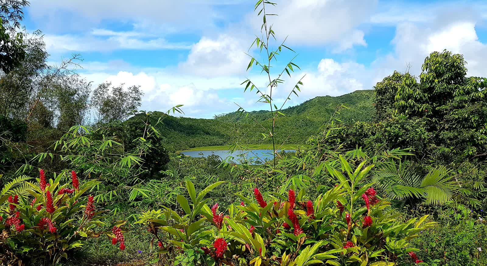 Grand Etang Lake