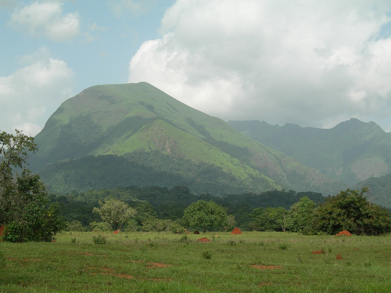 Mount Nimba Strict Nature Reserve-108450