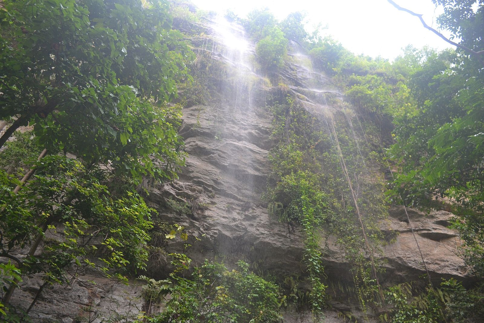 Voile de la marié kindia séguéya