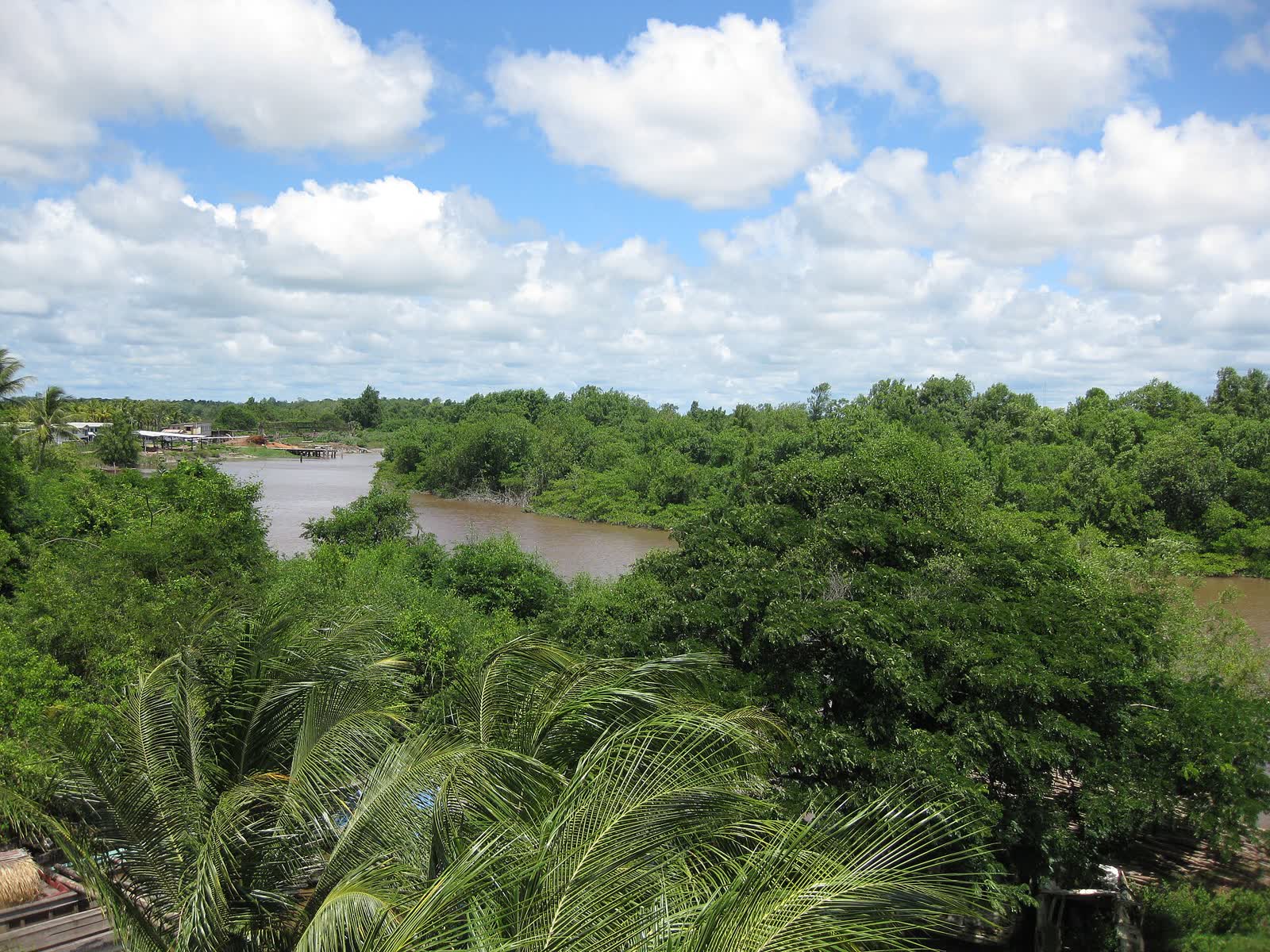 Canje River, Guyana