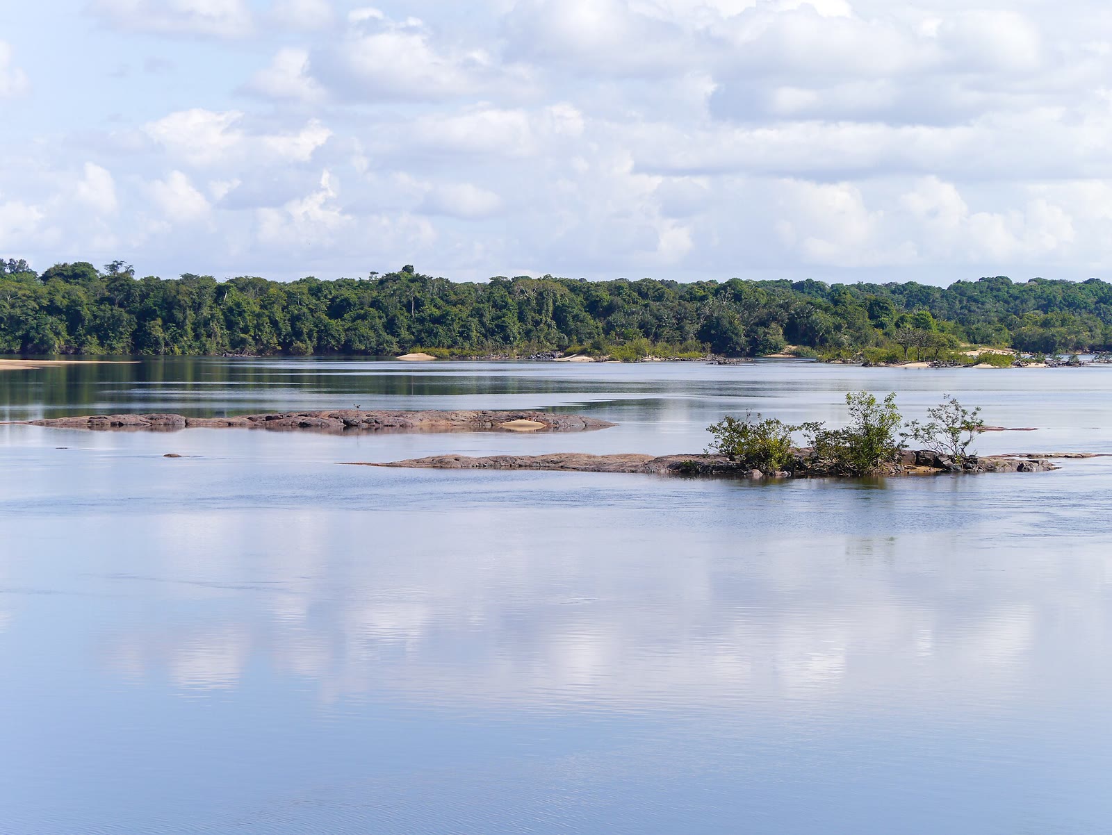 Iwokrama Rainforest, Guyana (12179378186)