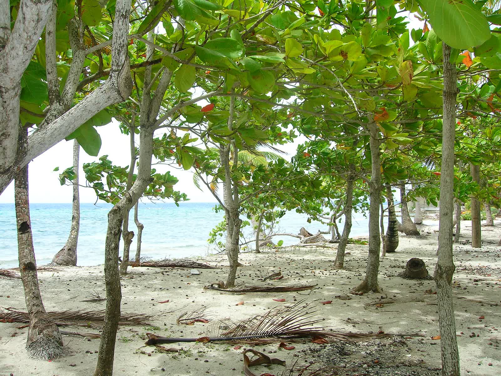 Utila beach