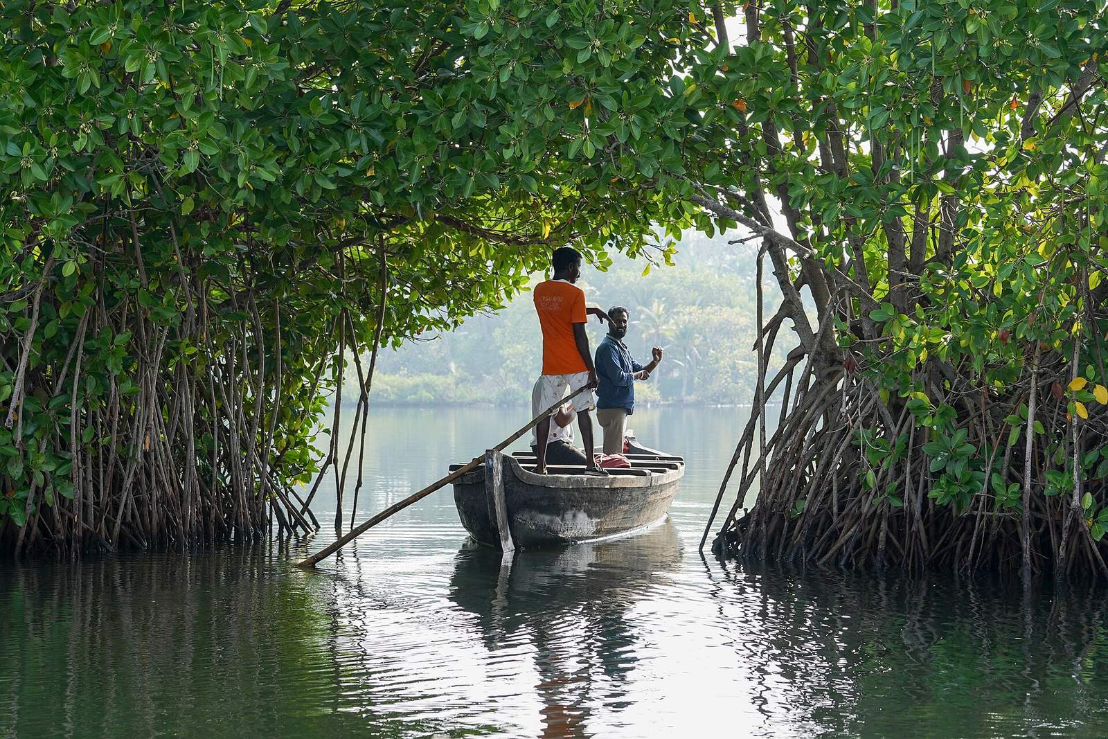 Mangrove Arch Boat Ashtamudi Kollam Kerala Mar22 A7C 01490