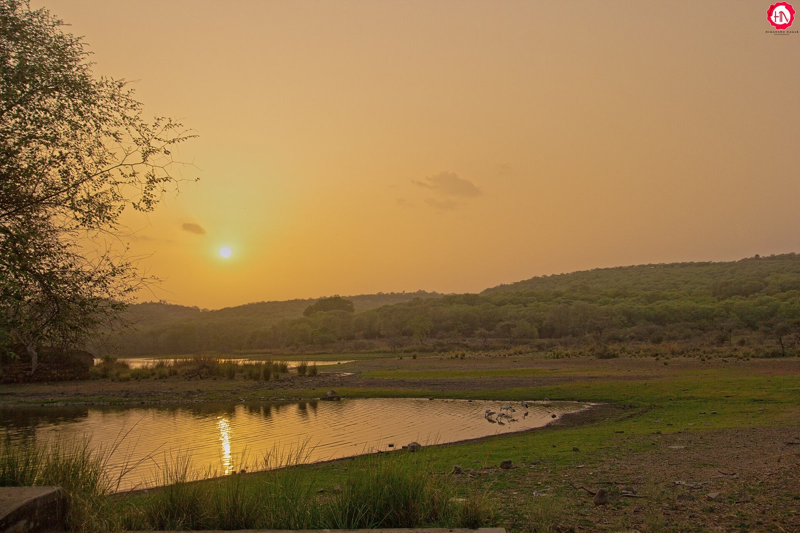 Sundown at Ranthambore (29505796685)