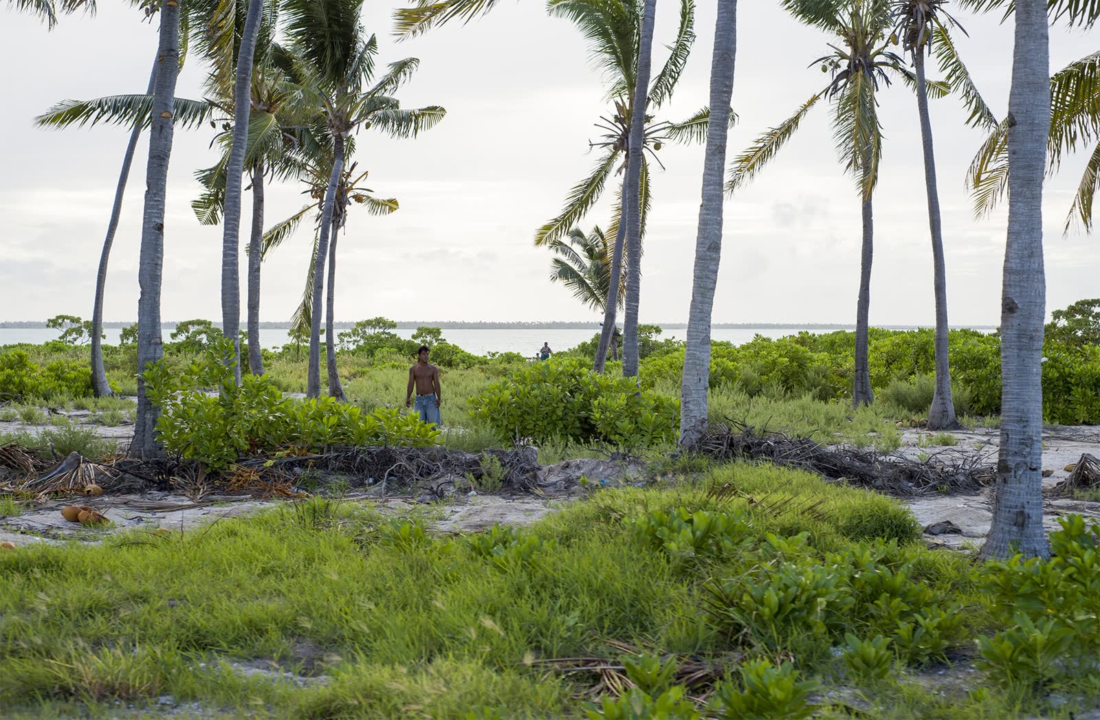 Kiritimati or Christmas Island (14376735445)