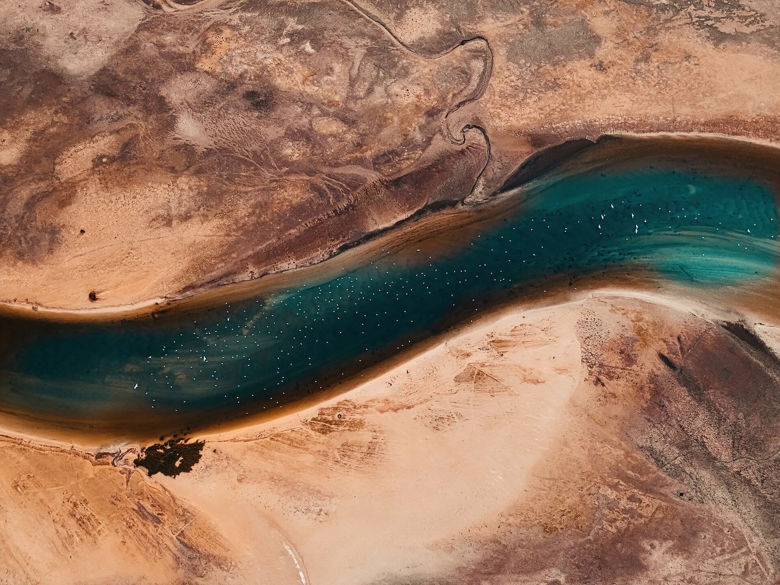 Jahra Nature Reserve in Kuwait - Aerial photography