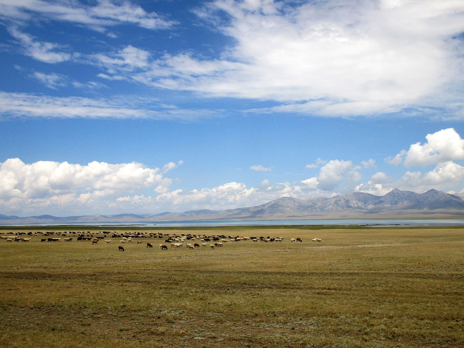 View Son-Kul lake and Ak-Tash mountains, Kyrgyzstan - panoramio