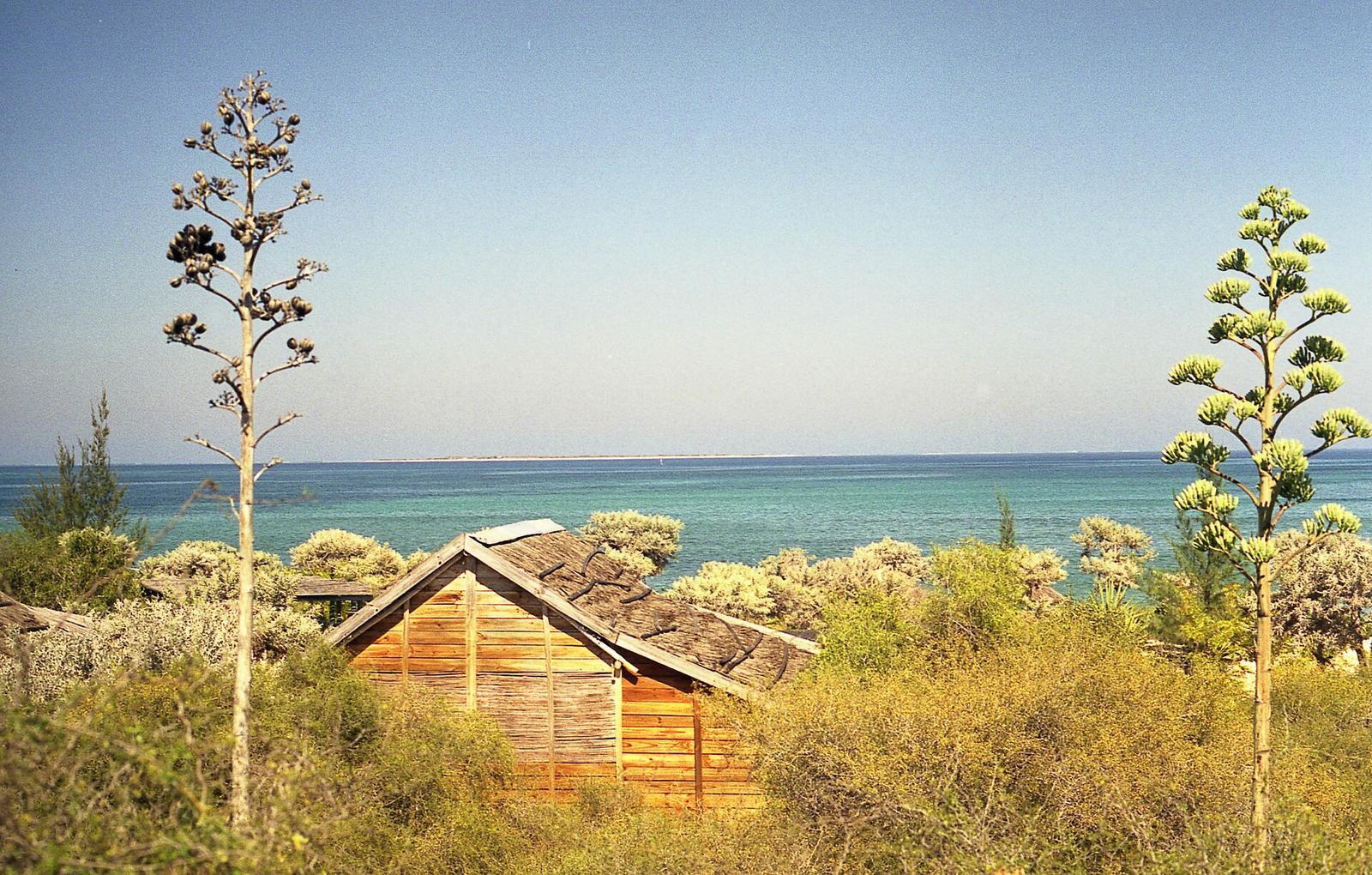 Anakao Beach - 8604186506