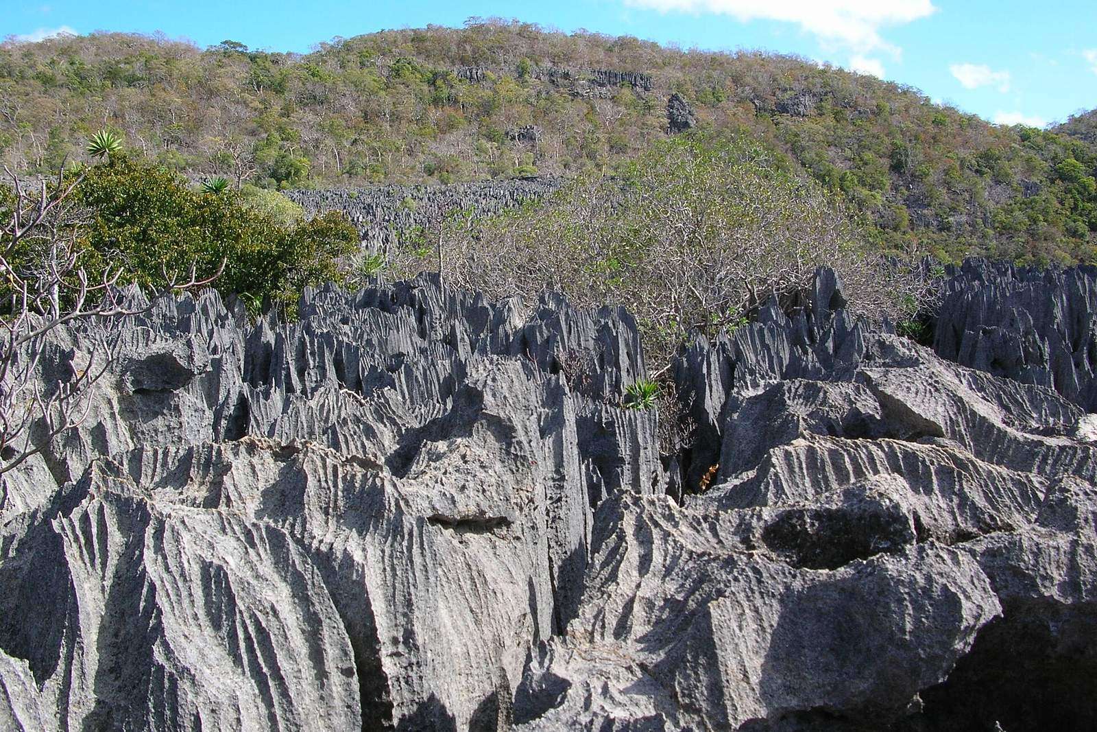 Tsingy Ankarana Madagascar 16-07-2004