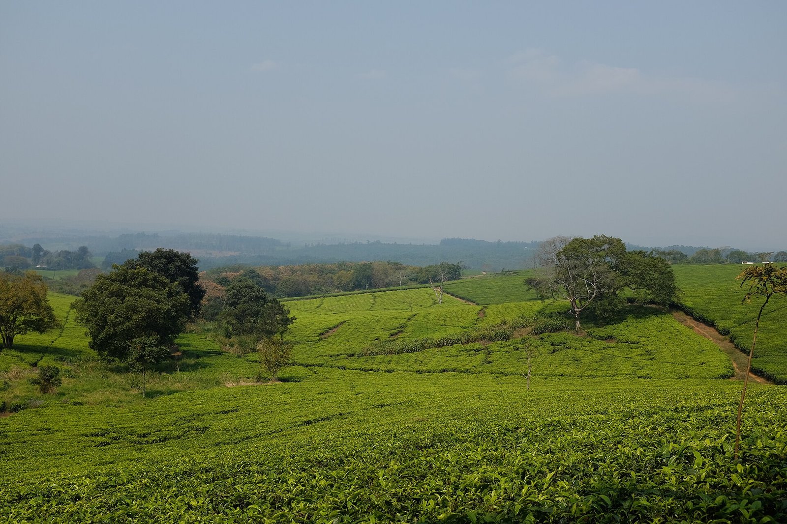 DSCF1434 (14874758407)