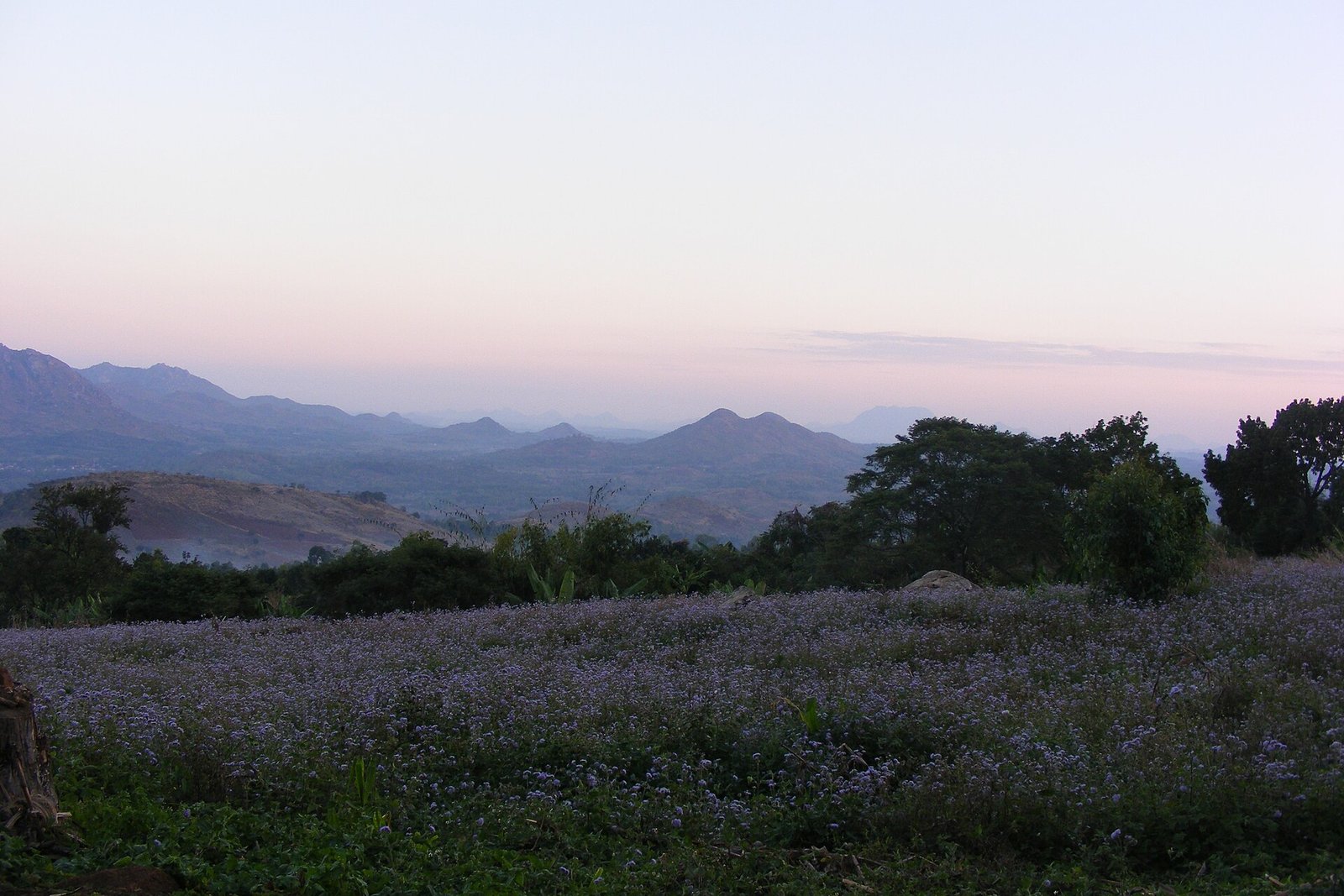 At the slopes of Zomba Platea