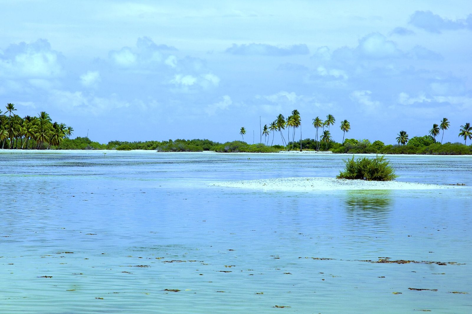 Maldives Islands - Flickr - nattu