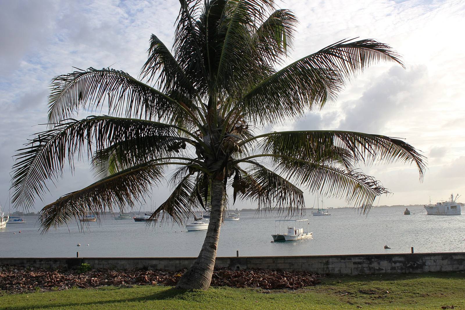 Landscape, Majuro, Marshall Islands, February 2012. Photo- Erin Magee - DFAT (12426188673)