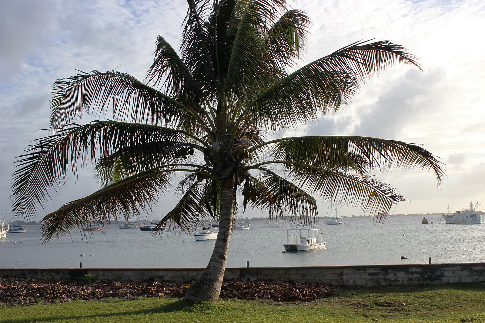 Landscape, Majuro, Marshall Islands, February 2012. Photo- Erin Magee - DFAT (12426188673)
