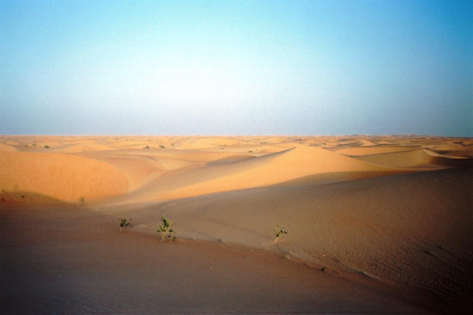 Chinguetti dunes