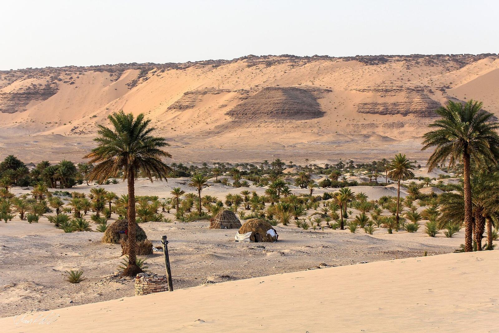 Date groves near Tichitt