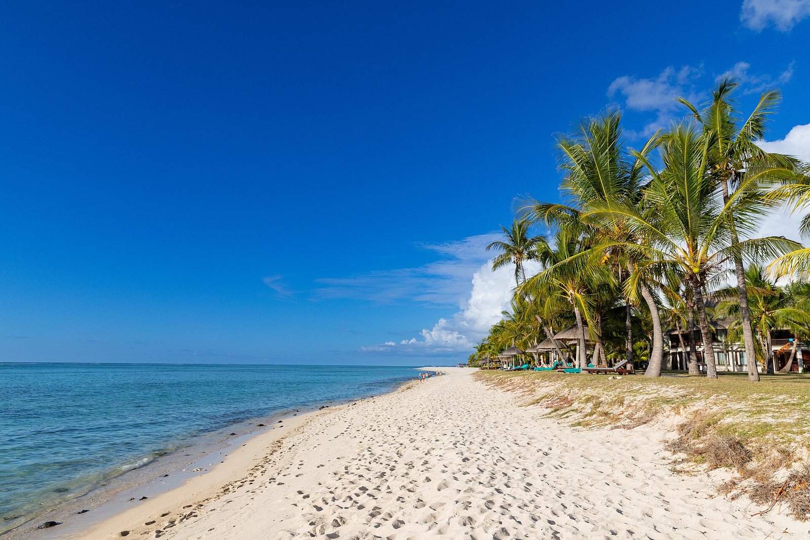 Le Morne Beach and Peninsula in Mauritius (53697990808)