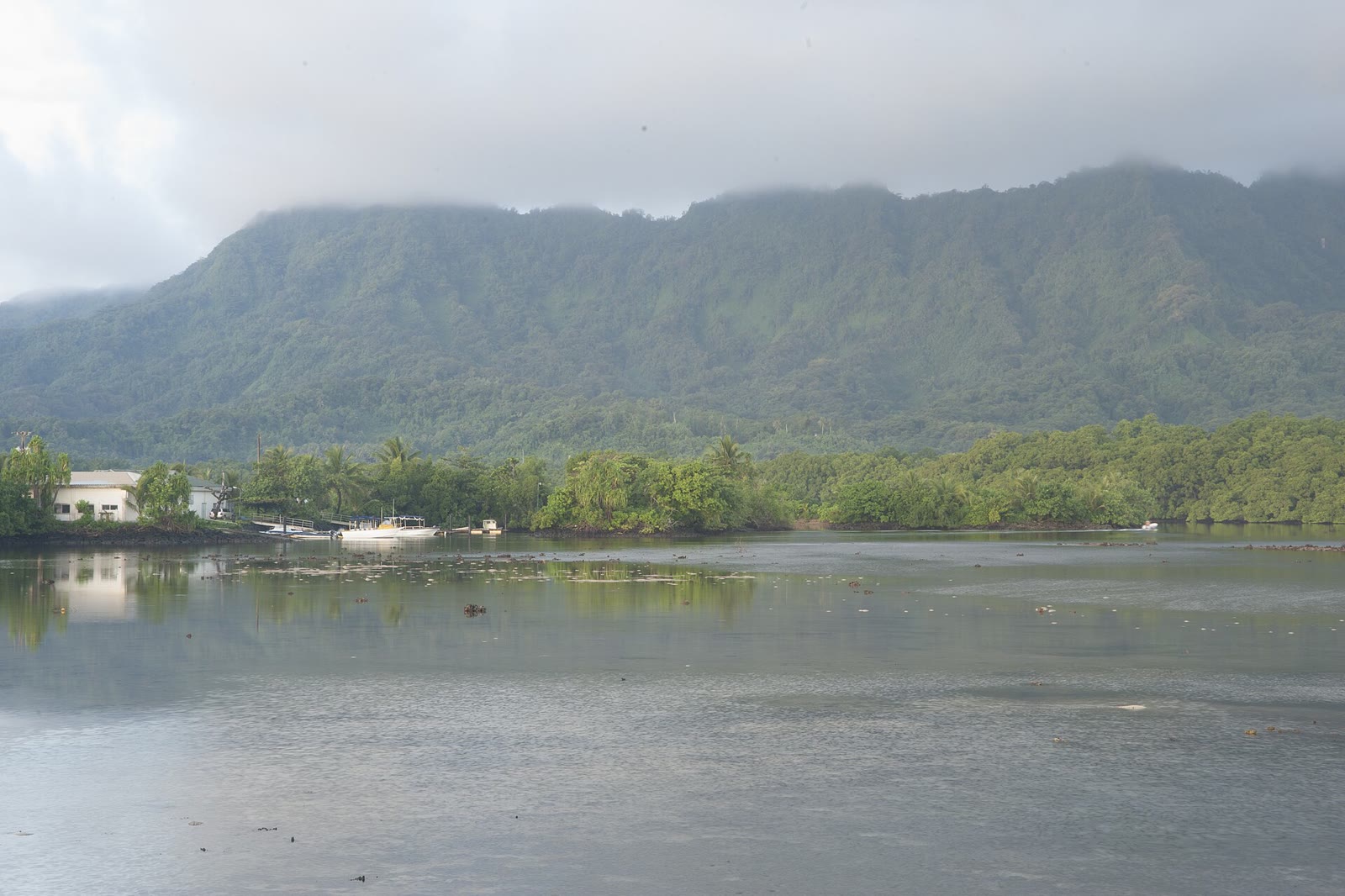 Kosrae-39 (21814254231)