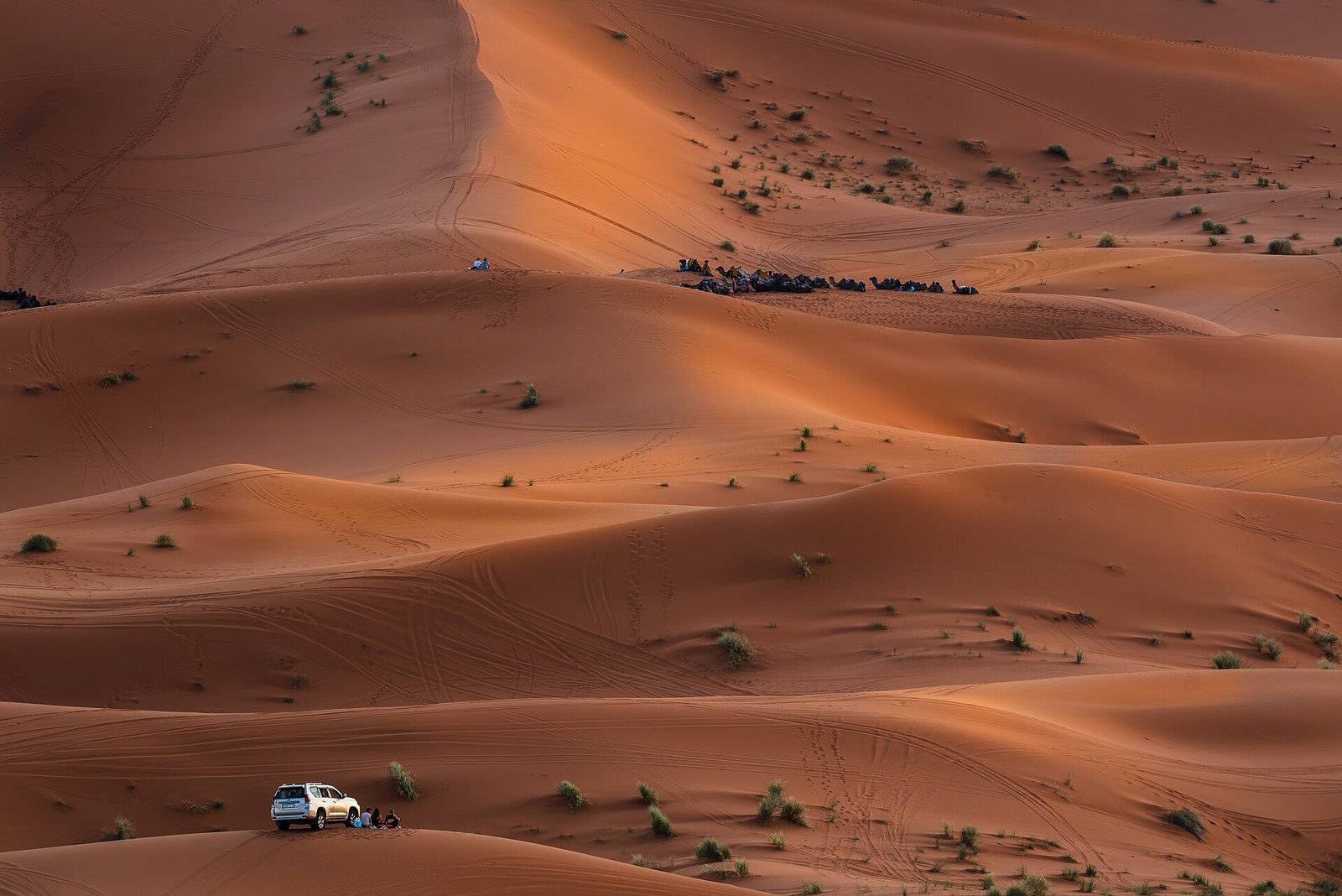 Watching the Sahara Sunset - Morocco
