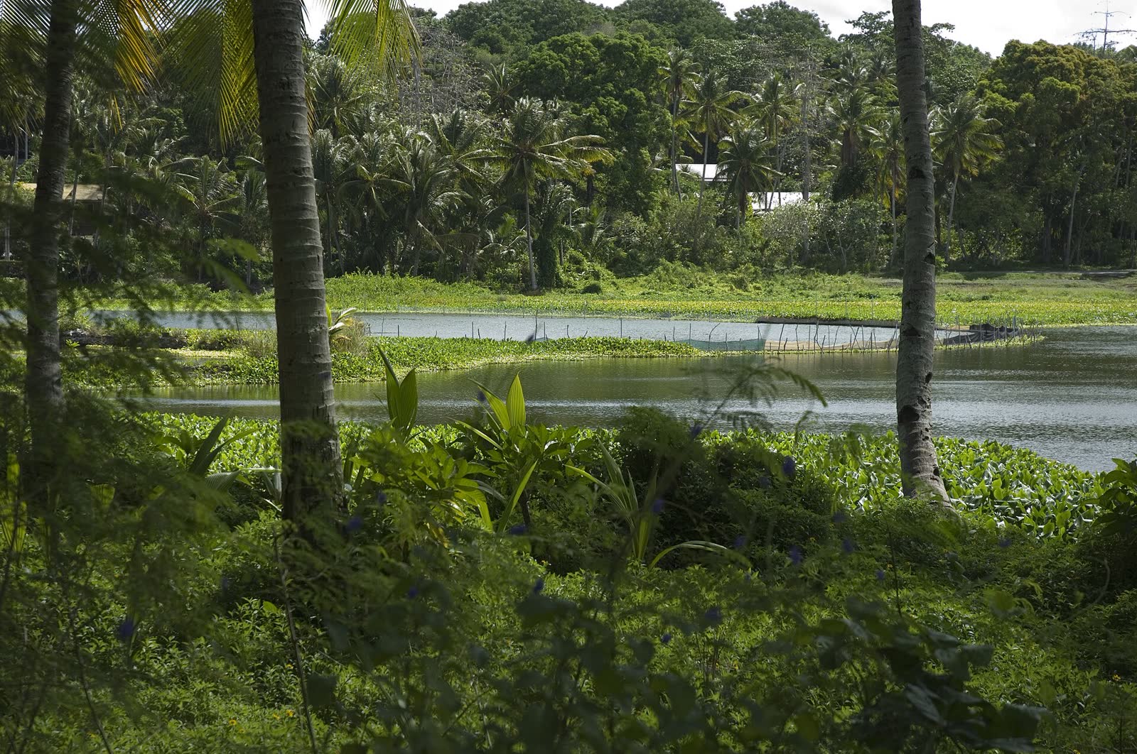Buada Lagoon, Nauru 2007