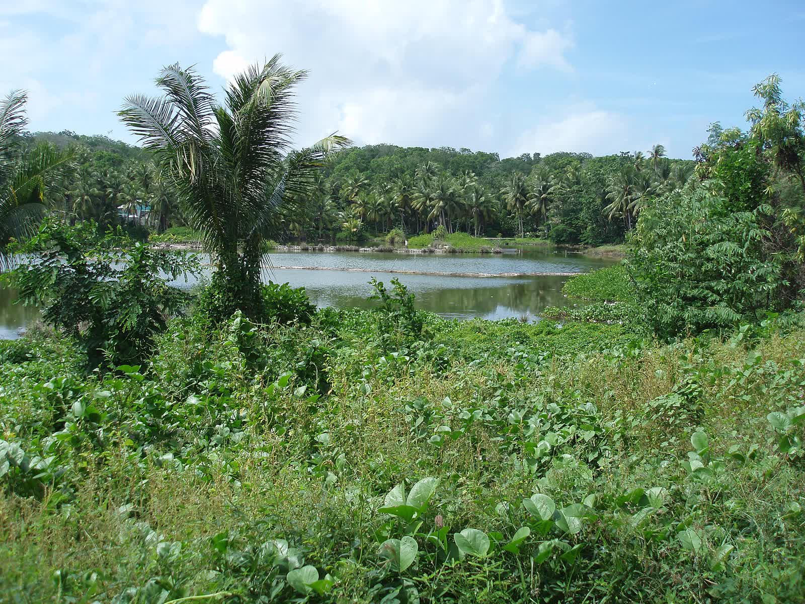 NauruBuada077