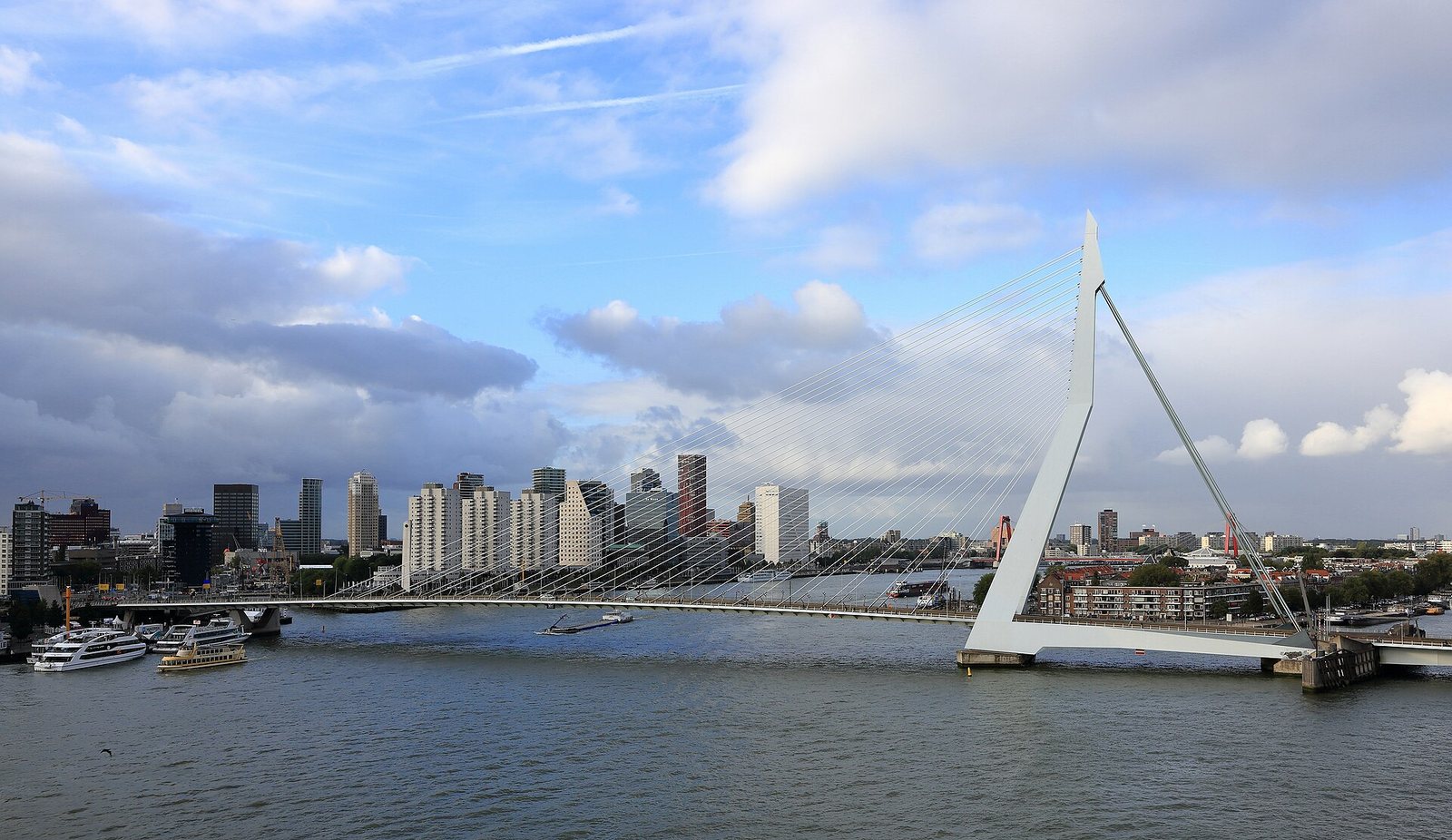 Erasmusbrug, September 2019
