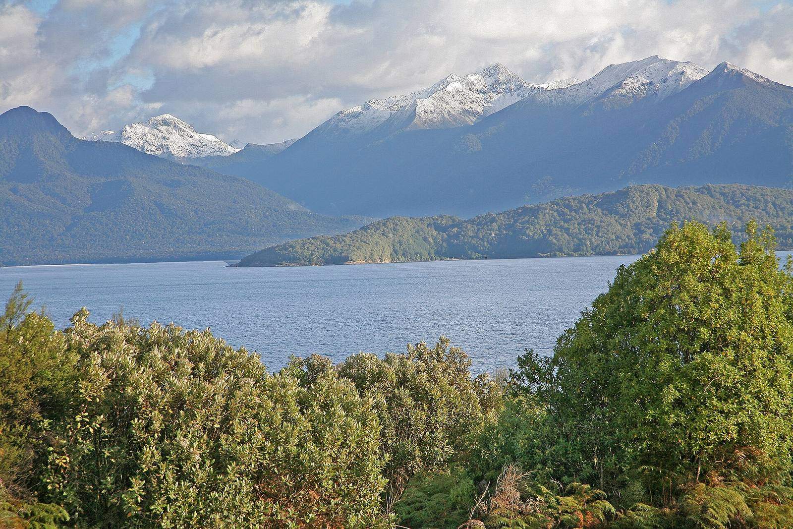 00 1356 New Zealand - Lake Te Anau (Fiordland National Park)