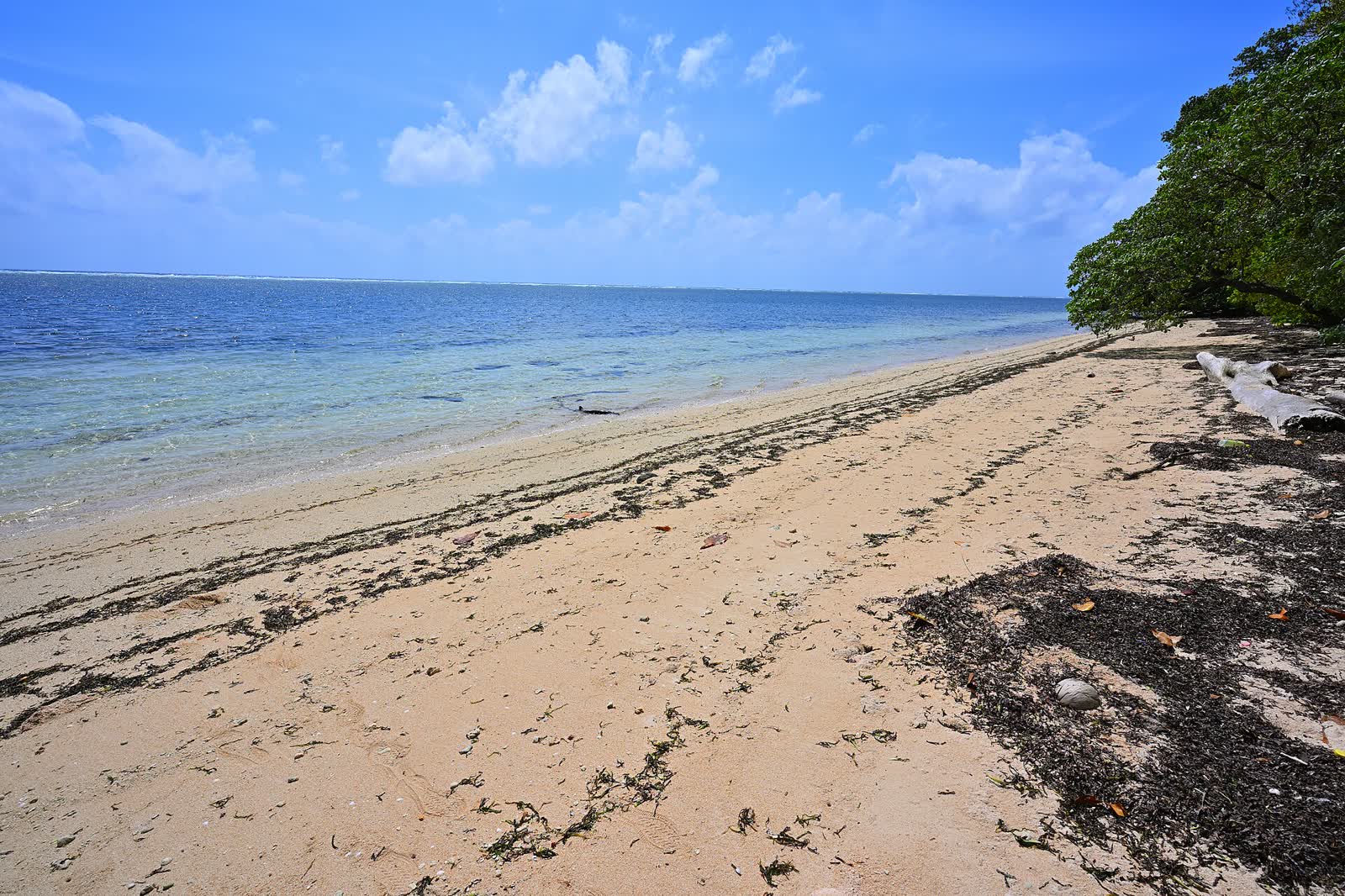 Orange Beach in Peleliu Island