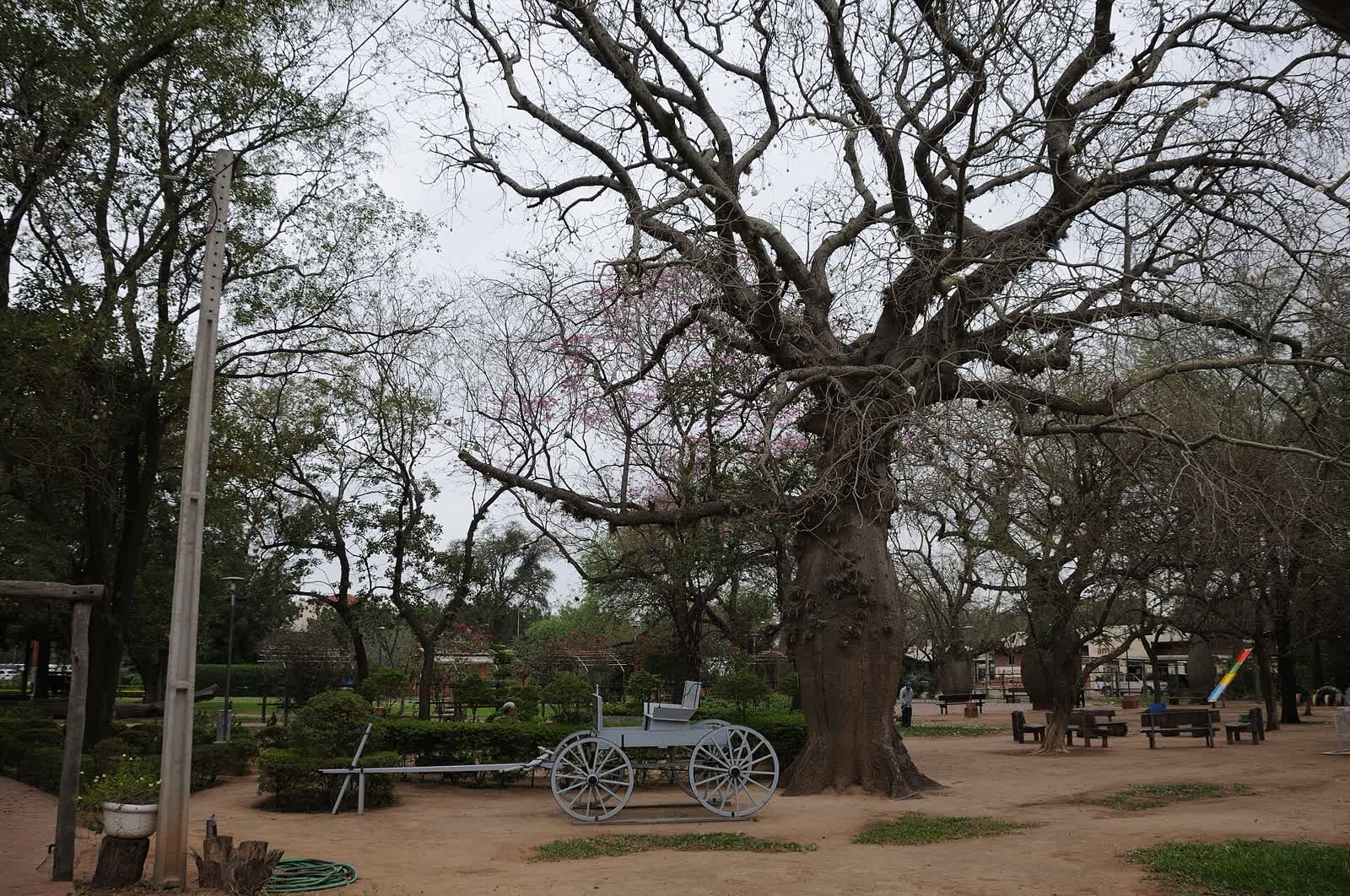 CHA - Parque de la Memoria in Filadelfia, Paraguay, 2023