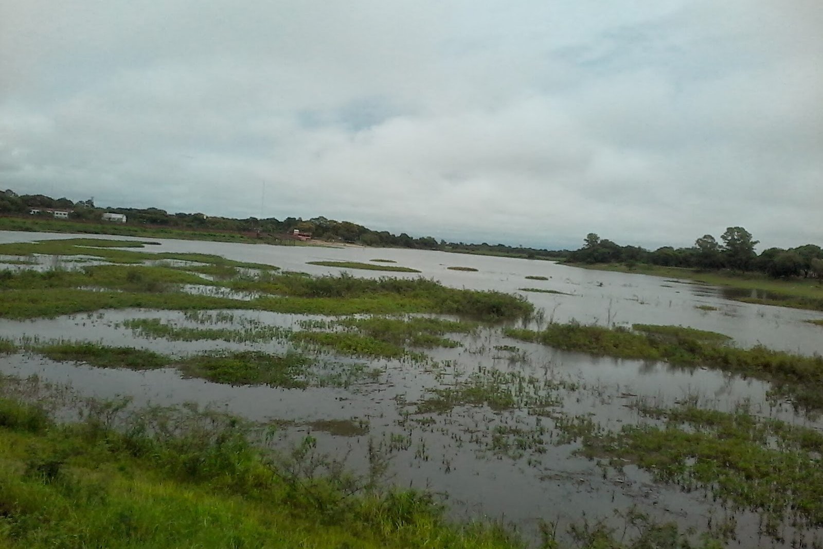 Costanera de Pilar - panoramio