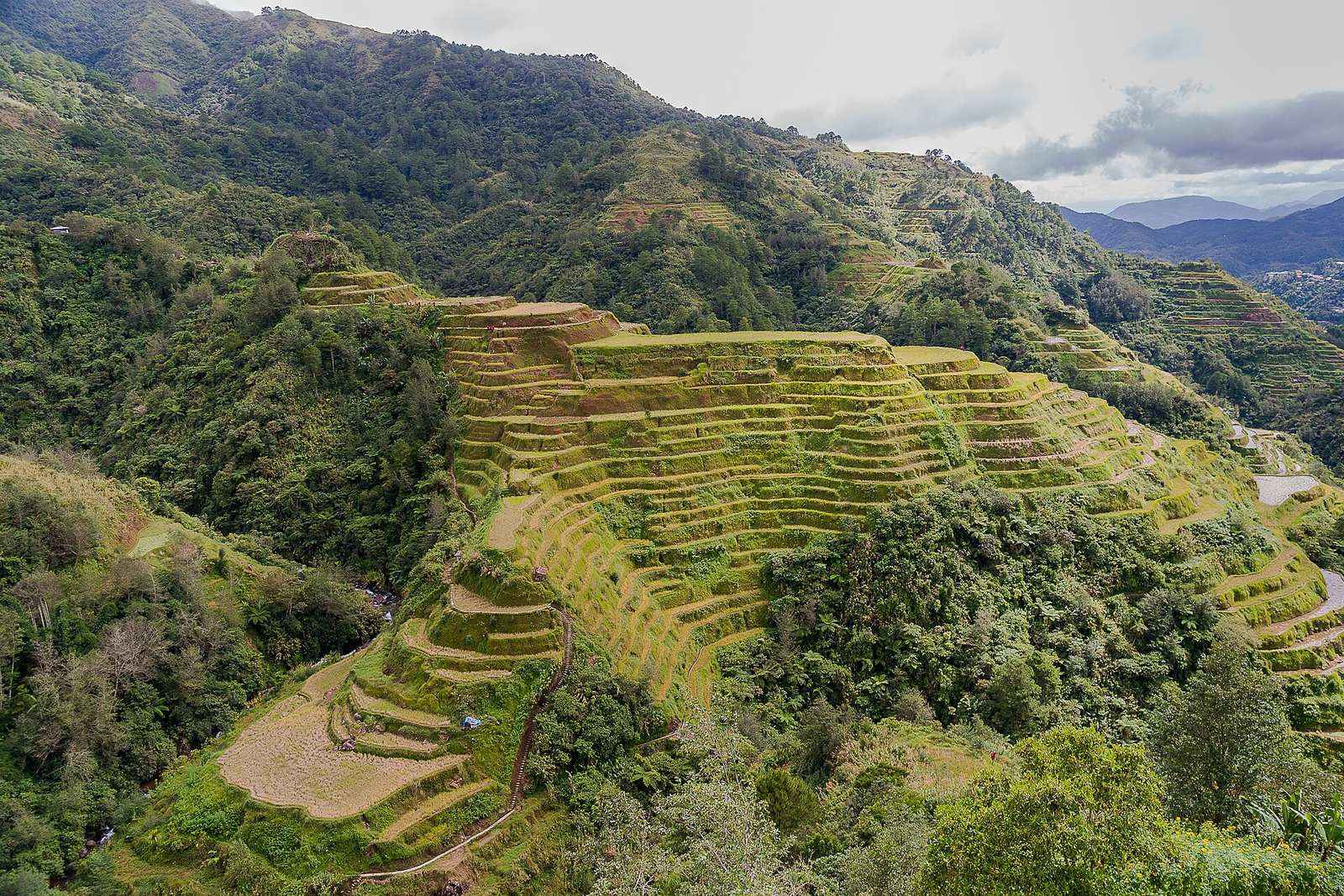 Banaue Philippines Banaue-Rice-Terraces-01